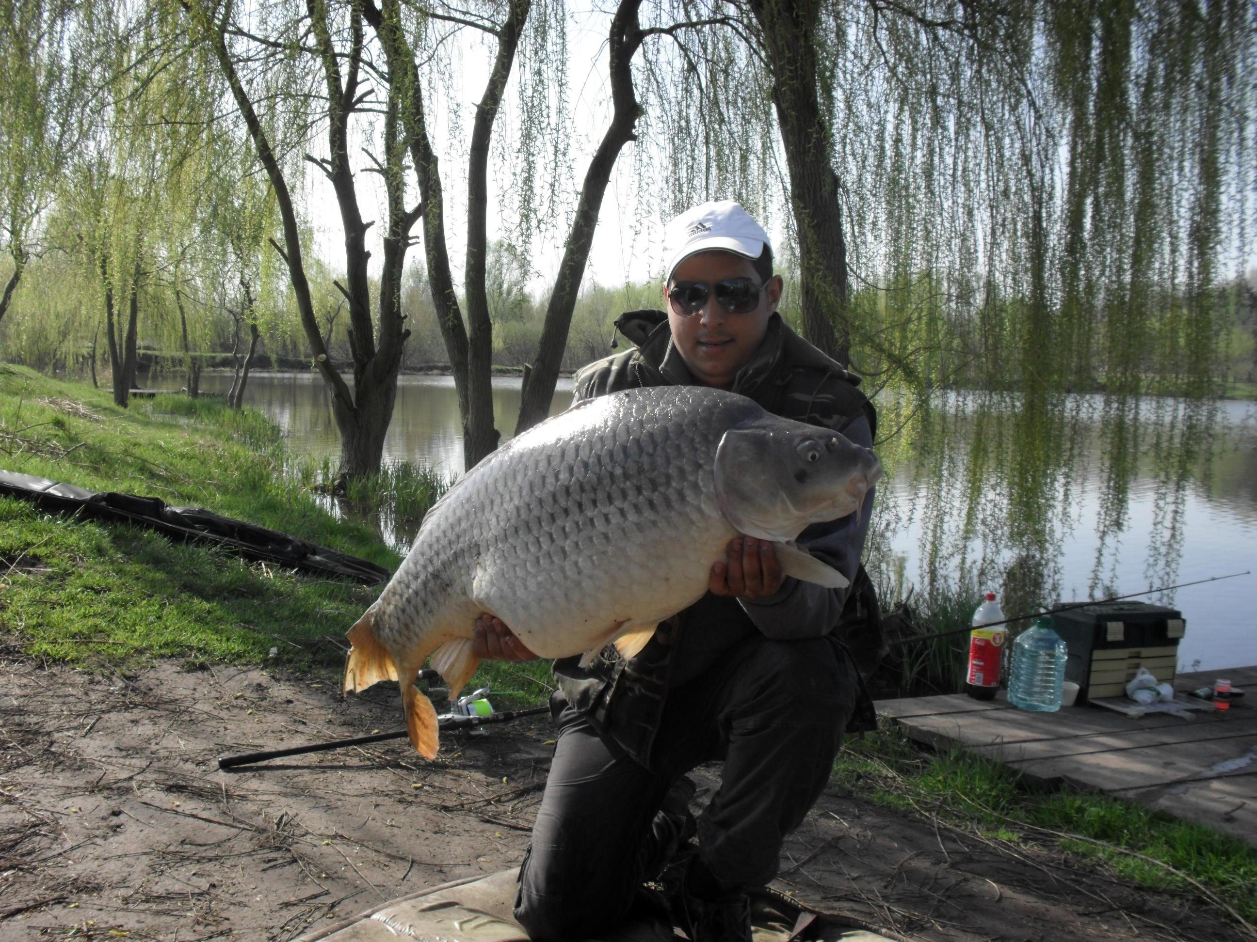 Palic 2012 primavara - SAM_0620.JPG